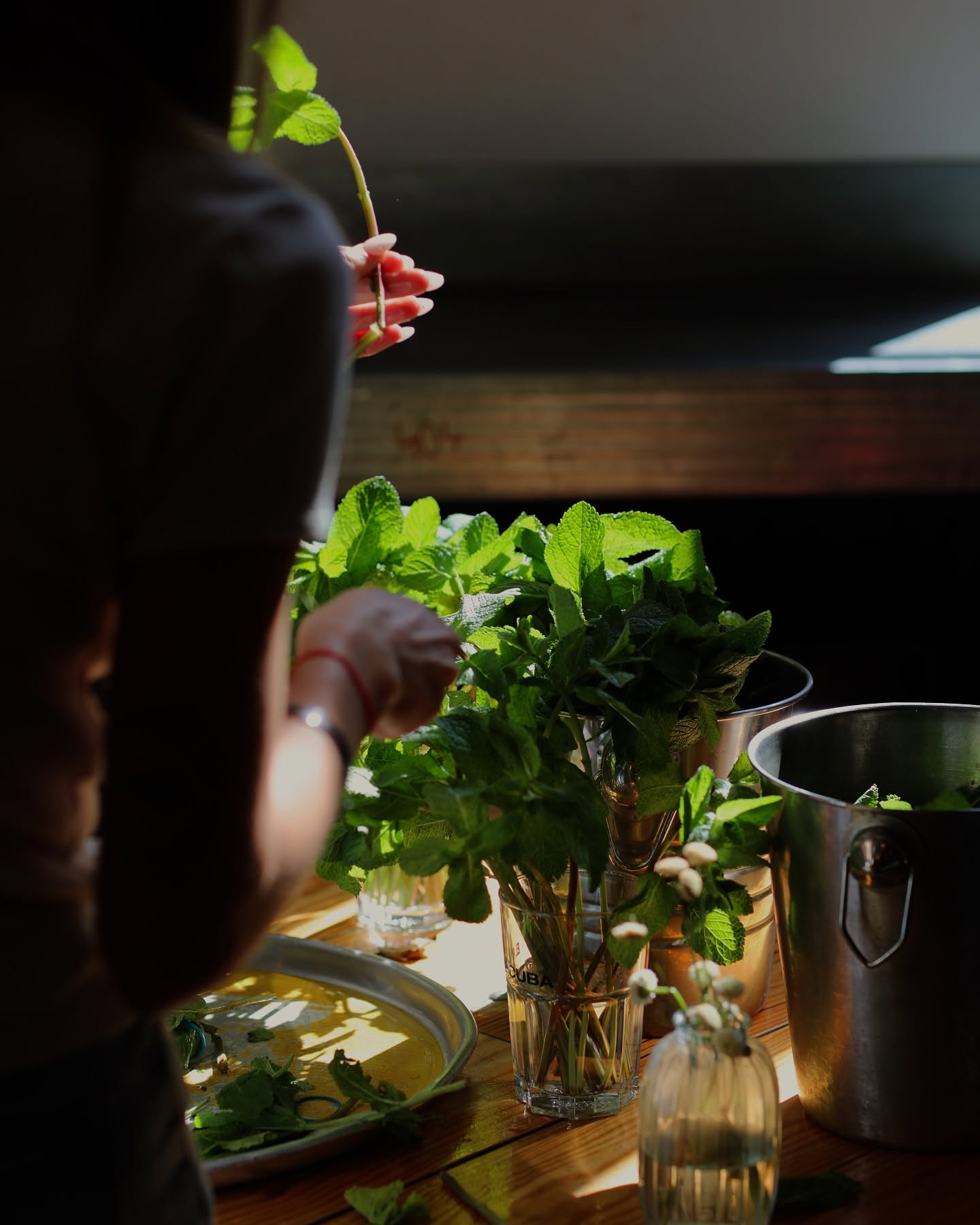 FRAÎCHEUR. 🌿 🍸